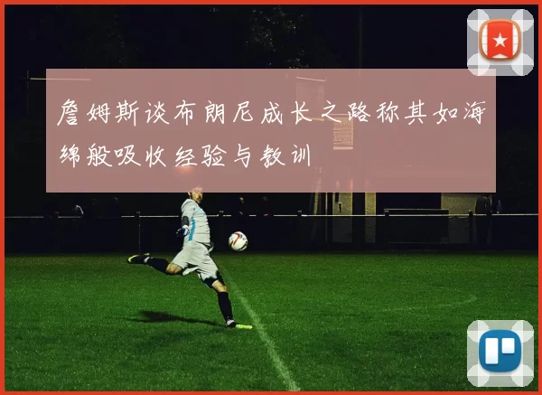 詹姆斯谈布朗尼成长之路称其如海绵般吸收经验与教训