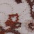 Tül Üzeri Kordone Çiçek Desenli Payetli Kahverengi Kumaş - K5135