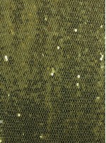 Tül Üzeri Sıvama Payetli Fıstık Yeşil Kumaş - K9251