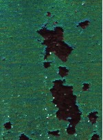 Balık Sırtı Çift Taraflı Payetli Mermaid Kumaş - Yeşil - K9381