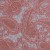 Şal Desenli Kalın Pudra Güpür Kumaş - K9579