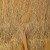 Uzun Saçaklı Elbiselik Koyu Gold Abiyelik Kumaş - K9776