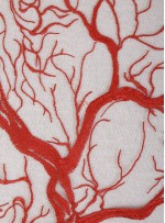 Abiye Elbiselik Ağaç Desenli Kırmızı Nakışlı Kumaş - K9918